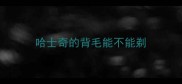 哈士奇的背毛能不能剃