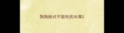 狗狗绝对不能吃的水果