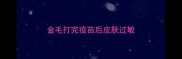 金毛打完疫苗后皮肤过敏
