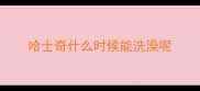 哈士奇什么时候能洗澡呢