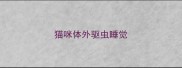 猫咪体外驱虫睡觉