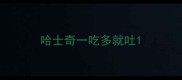 哈士奇一吃多就吐