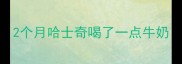 2个月哈士奇喝了一点牛奶