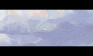 收养流浪猫咪的网站