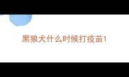 黑狼犬什么时候打疫苗