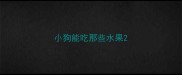 小狗能吃那些水果