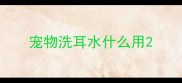 宠物洗耳水什么用