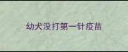 幼犬没打第一针疫苗