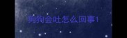 狗狗会吐怎么回事