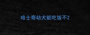 哈士奇幼犬能吃饭不