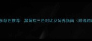 拉布拉多颜色推荐黑黄棕三色对比及饲养指南附选购建议