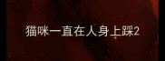 猫咪一直在人身上踩