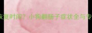 如何护理及恢复时间小狗翻肠子症状全与专业应对指南