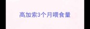 高加索3个月喂食量
