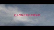 哈士奇拉肚可以吃黄瓜吗