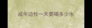成年边牧一天要喝多少水