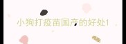 小狗打疫苗国产的好处