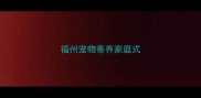 福州宠物寄养家庭式