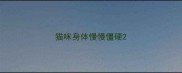 猫咪身体慢慢僵硬