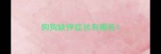 狗狗缺钾症状有哪些