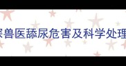 泰迪犬误食尿液怎么办资深兽医舔尿危害及科学处理方案附防舔尿训练教程