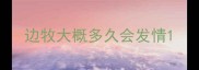 边牧大概多久会发情