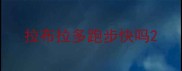 拉布拉多跑步快吗