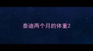 泰迪两个月的体重