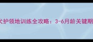 高加索幼犬护领地训练全攻略3-6月龄关键期培养指南