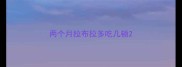 两个月拉布拉多吃几顿