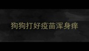 狗狗打好疫苗浑身痒