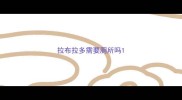 拉布拉多需要厕所吗