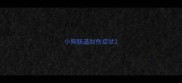 小狗肠道划伤症状