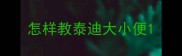 怎样教泰迪大小便