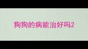 狗狗的病能治好吗