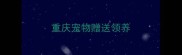重庆宠物赠送领养