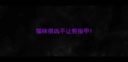 猫咪很凶不让剪指甲