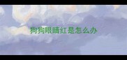 狗狗眼睛红是怎么办