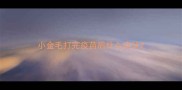 小金毛打完疫苗后什么症状