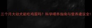 三个月大幼犬能吃鸡蛋吗科学喂养指南与营养建议全