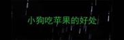小狗吃苹果的好处