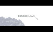 泰迪狗呕吐黄水怎么办
