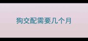 狗交配需要几个月