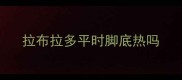拉布拉多平时脚底热吗