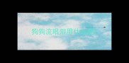 狗狗流眼泪用什么药