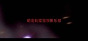 萌宠到家宠物俱乐部