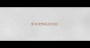 明珠宠物医院电话
