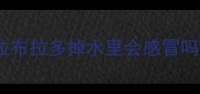 拉布拉多掉水里会感冒吗