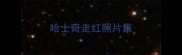 哈士奇走红照片集