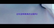边牧蓝眼睛真的会瞎吗